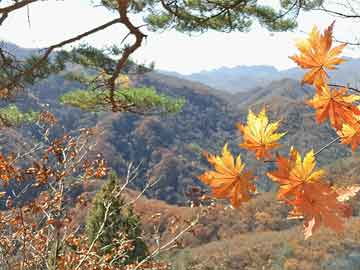 岳阳关于微信打胎药在哪里买的信息